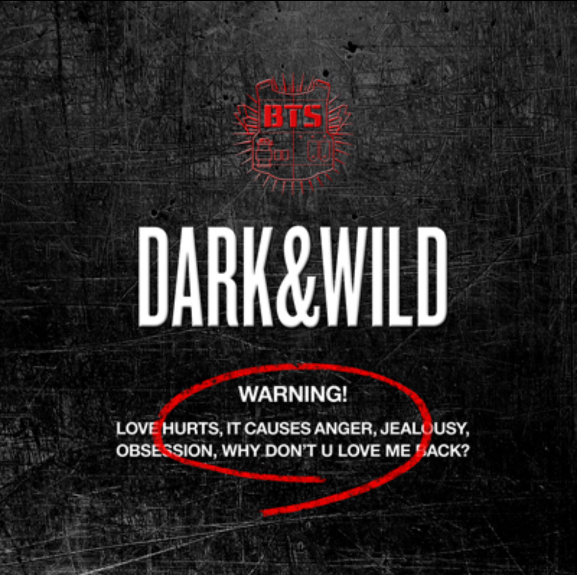BTS - 1st Album [DARK&WILD]